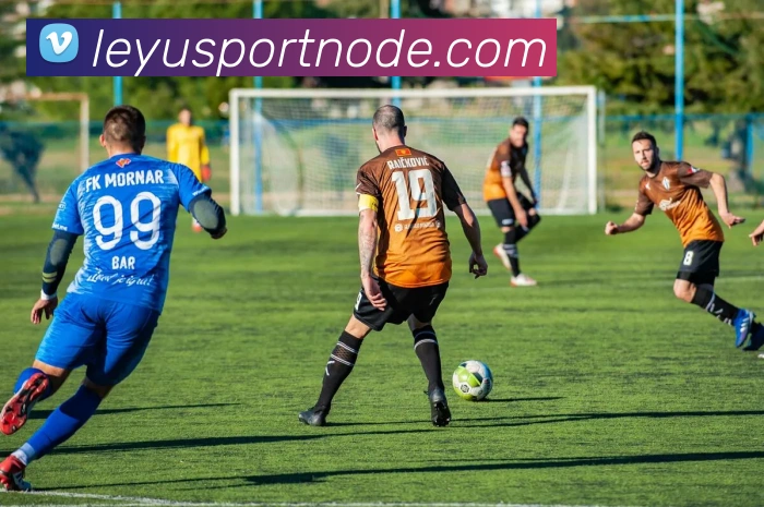 乐鱼体育APP 封面图